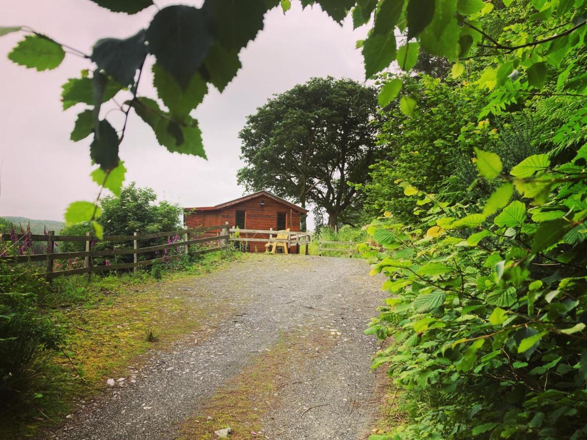 Cabin Pren , Darowen , Machynlleth Appartement Buitenkant foto
